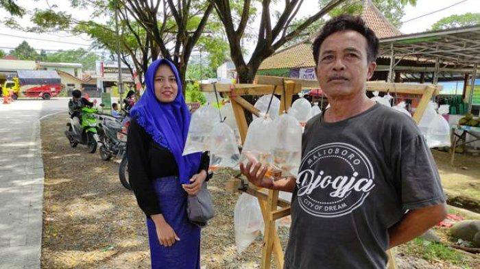 Hebat Juga! Cuma Penjual Ikan Hias, Kakek 60 Tahun di Banjarnegara Bisa Nikahi Janda Muda 19 Tahun
